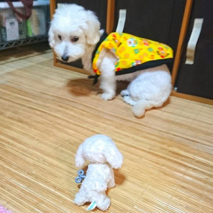 D4483274 4110 427e 8c76 43251bd68843