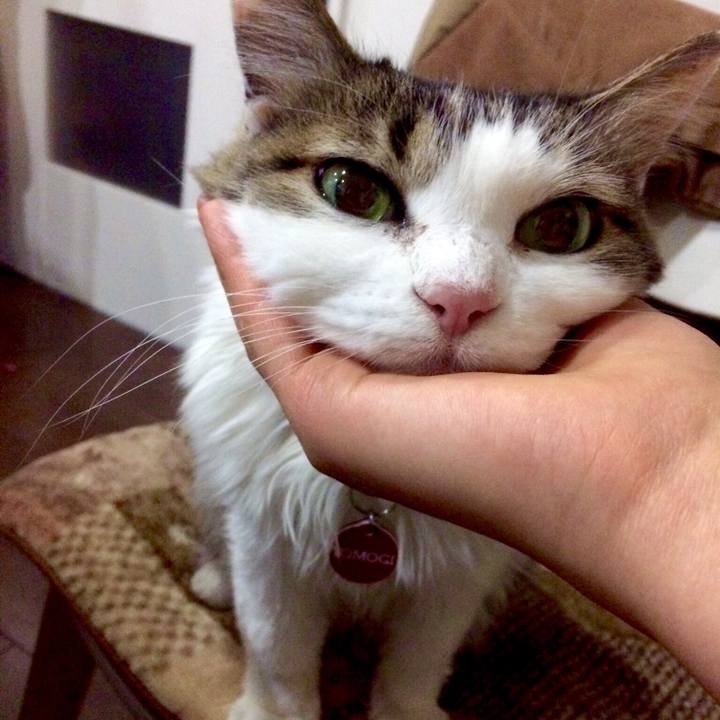 D4489943 f6ec 420f 8cd9 1e50f3c5c69f