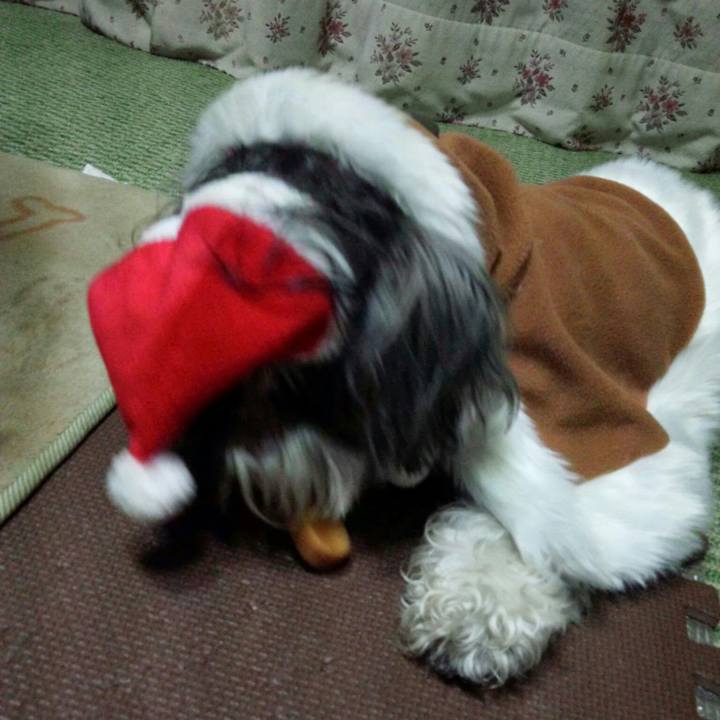 D448b5a9 43ee 4a47 b6c7 55c87fa6f76f