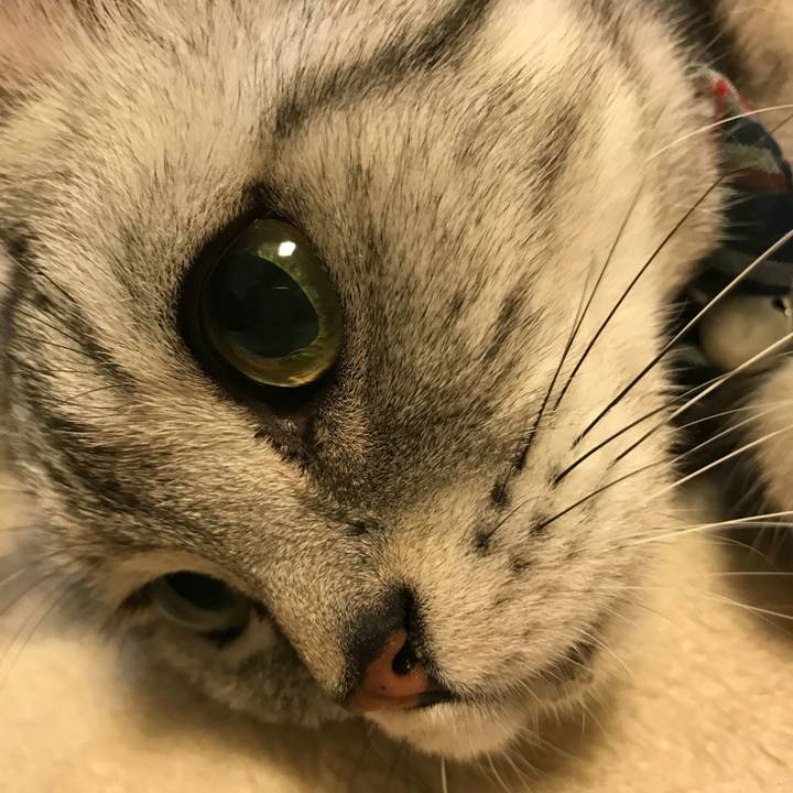 D448cc5e c0db 49d2 aee9 5dbedf468165