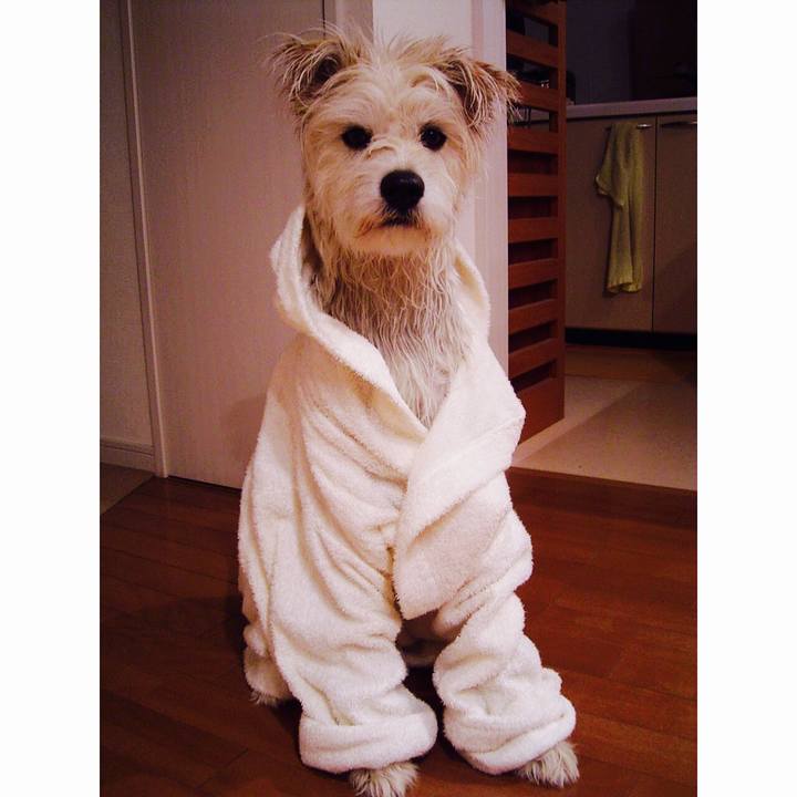 D4492caa 097c 43b4 95b9 93d4994f56d6