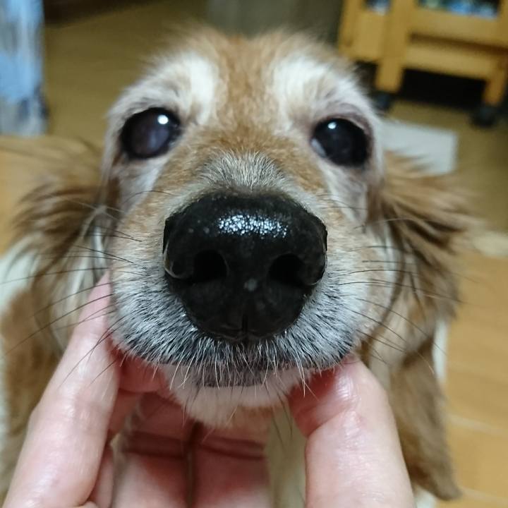 D4499eac eb61 41dc 958c effd509e6dd5