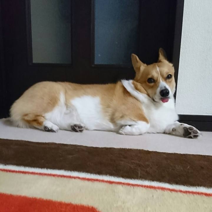 D4499eba d954 4e05 82b3 d8a0d78c2164