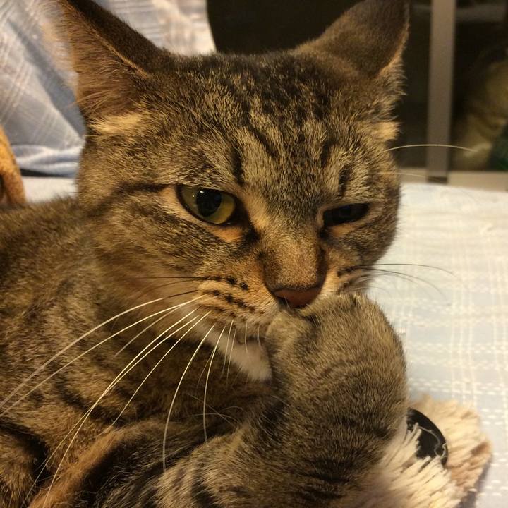 D44b3184 1c75 4a0e ac27 df34787a6d58