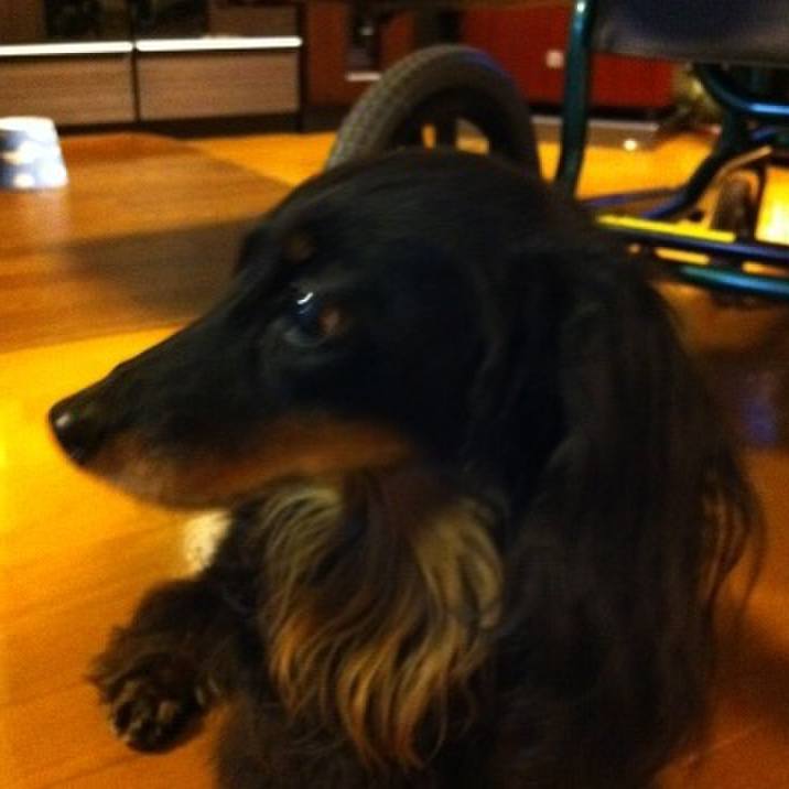 D44b9fa6 70b6 4109 9517 c5a07bc97895