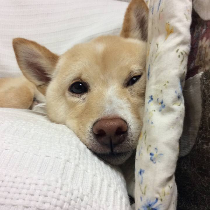 D44bfc59 632b 4671 8169 f8c10efbdc91