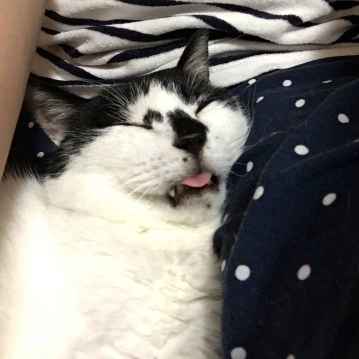 D44d19ae 63c3 4cce 9684 3f27d60fb143