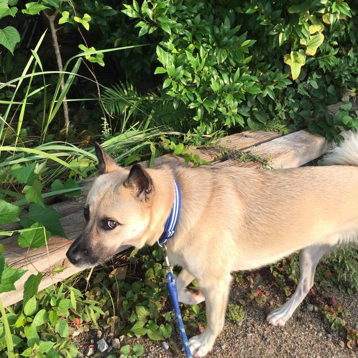 D44e31f5 e335 49d2 ada0 3b29d6c9f340