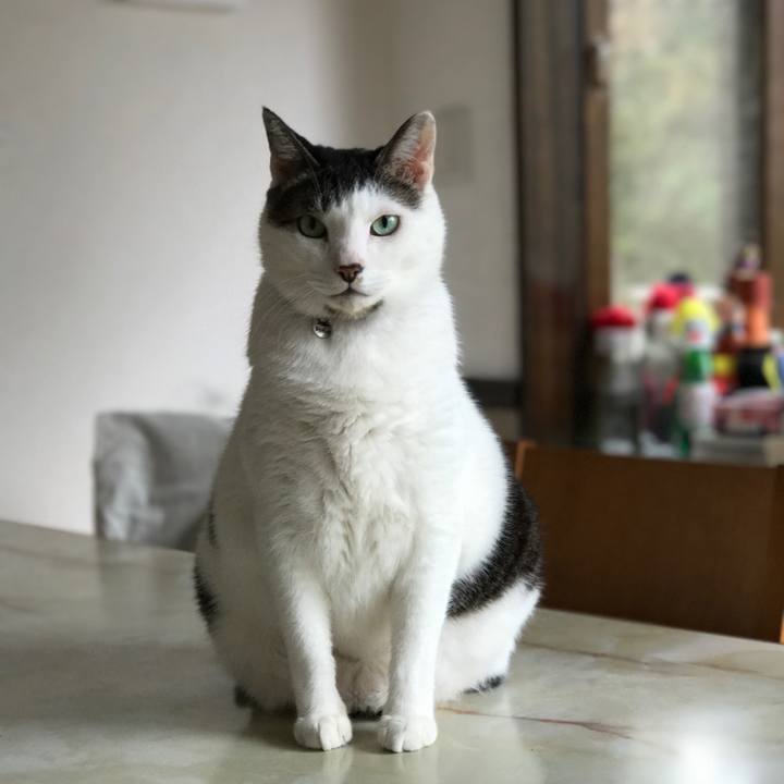 D44e8153 e4ce 42f8 ab32 6e95d0b8f3e4