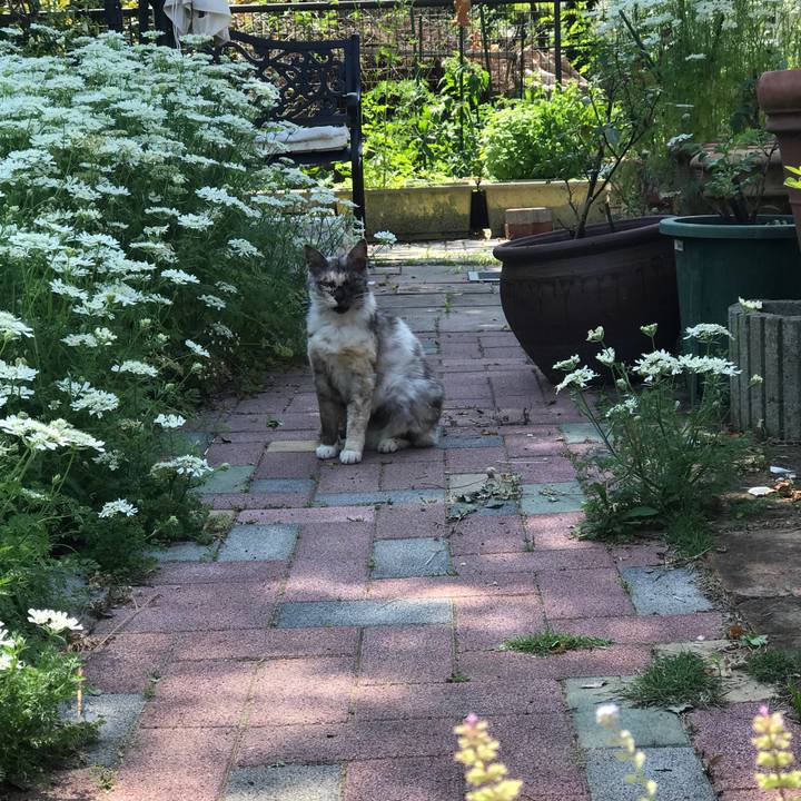 D44f1505 ca99 43cc ae40 9da624773842