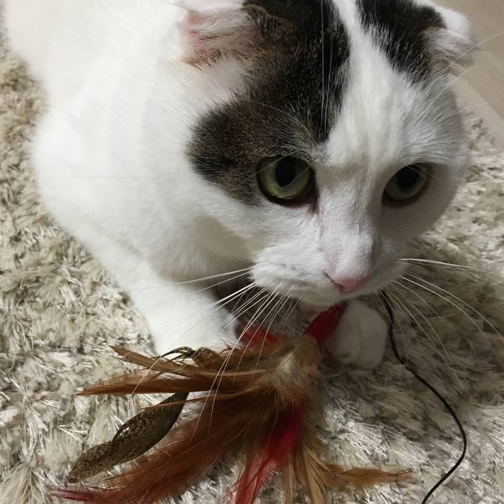 D44f24d9 ad41 4c3b 85f6 b938fbe3aff9