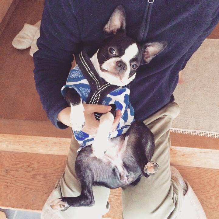 D44f4a18 38b9 441d a102 2c5dc354c116