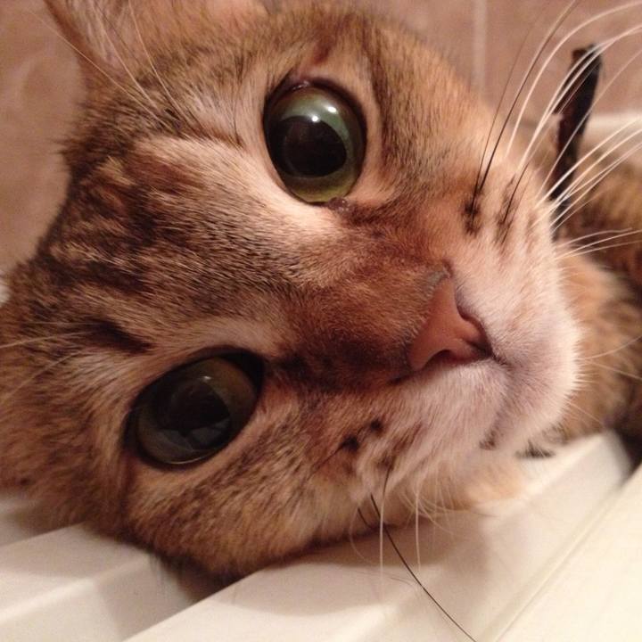 D4507d86 a758 4dab 9e1b 8722ff03c096