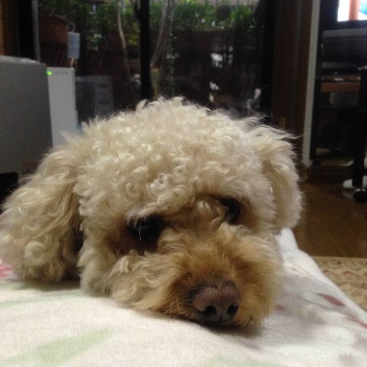 D450e441 6ff4 4d1a 8dac 3add604438c7