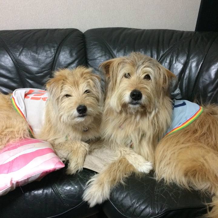 D4518d3c aff5 43ea b2fc e7ece469e7ee