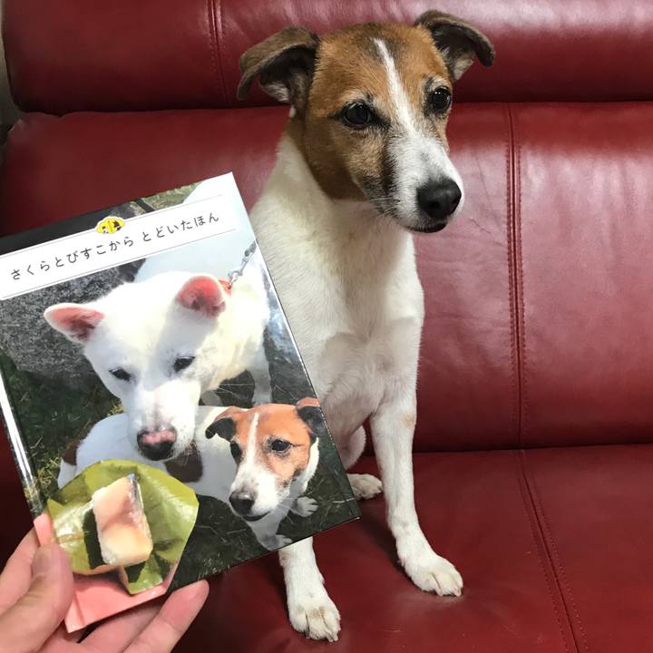 D451c175 1325 458c a41e 0e92bdbde1f5