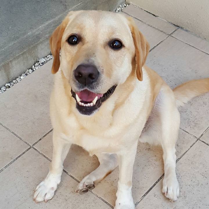 D452257f 283a 41a6 b56c 34cafae219f2