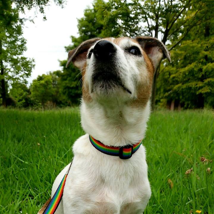 D452865a 89dc 4cc8 ab69 0588171d2087