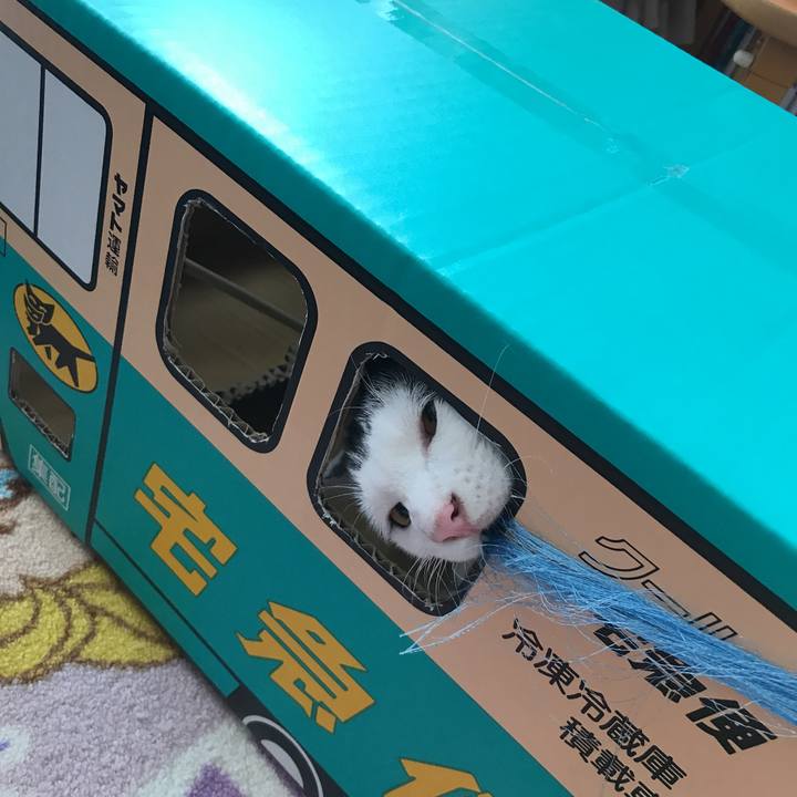 D45318d0 e58f 42e2 bf2a c752aff3904e