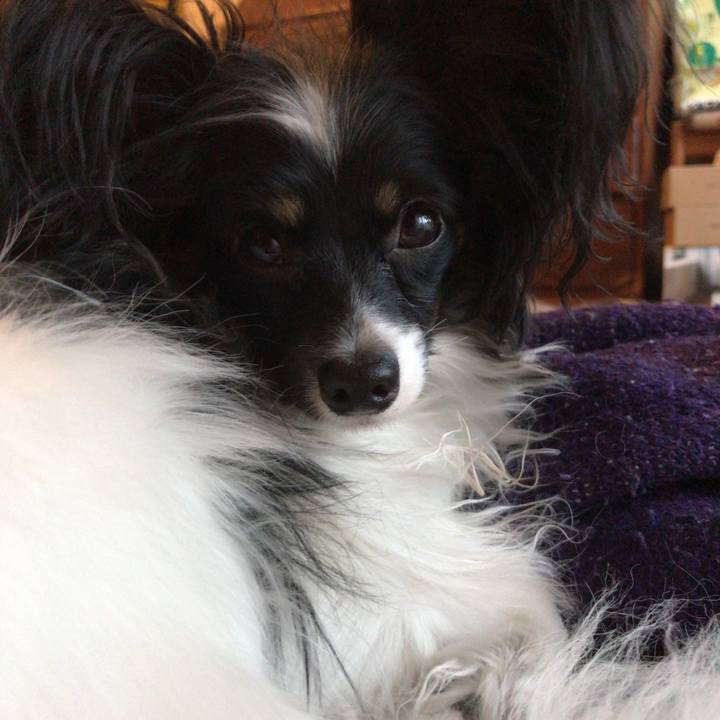 D4532e17 3fbf 4fd3 8fb2 b6f052839a09