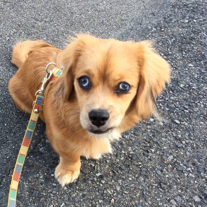 D453b421 0cc9 4ed0 b61e 58f91712aeed