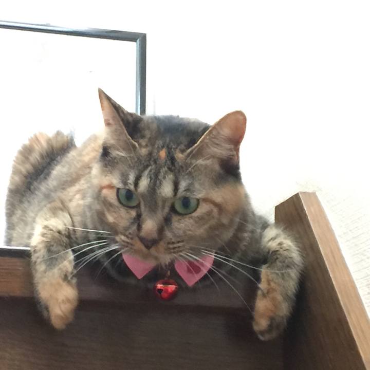 D453fabe 11ec 4740 80fa 5e915354c63a