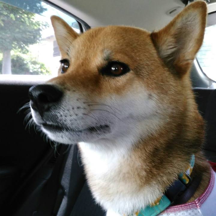 D4542e96 f22f 426c bc5f 9c8978af954a