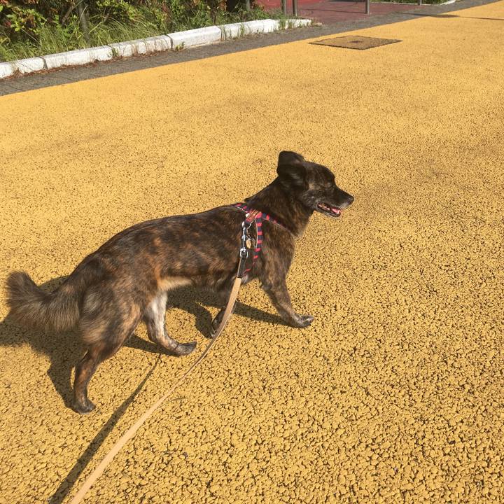 D4544126 78ce 4fa2 84d4 ae8dc58250cc