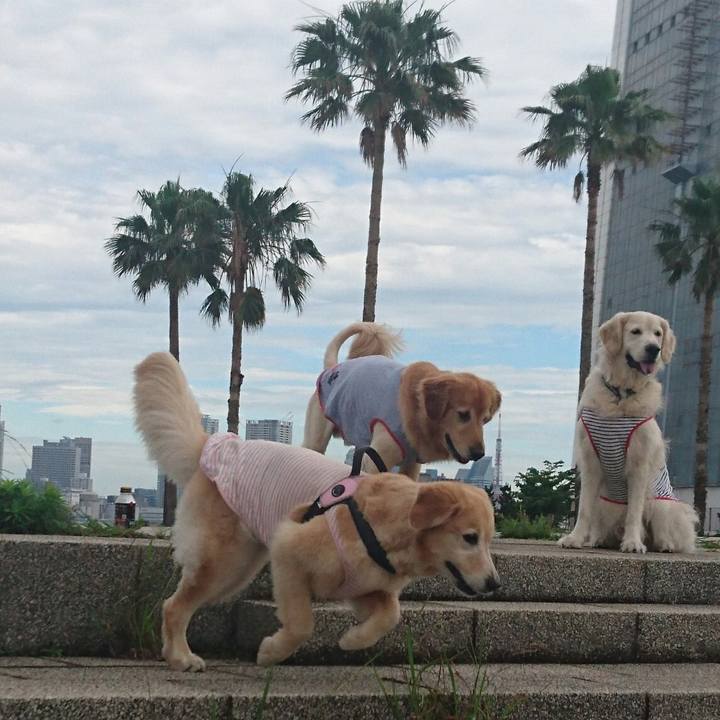 D454e24a bc00 4d55 b19c 55bcda9ae897