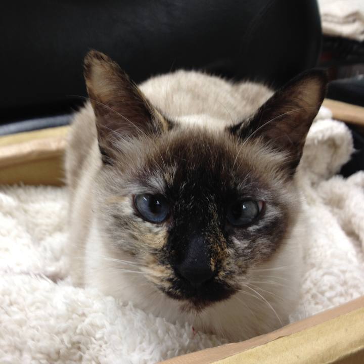 D455adce 7e56 42a4 b55e d917c40e7da7