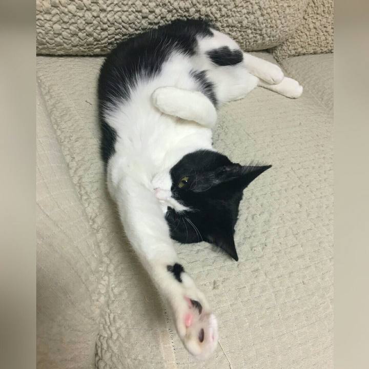 D45662cf 0c0b 4917 85c9 baecdaa833e4