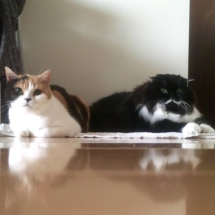 D4566daa d394 49b2 886b 2f2f9714b188