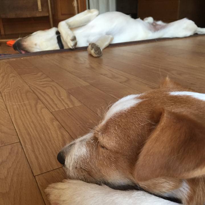 D4567d83 f166 48a4 aa5f d87767ee469e