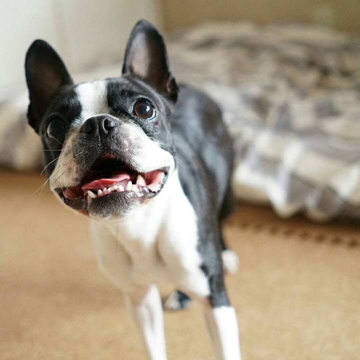 D4569c71 e8e1 48e1 a2bd 6ac334af2885