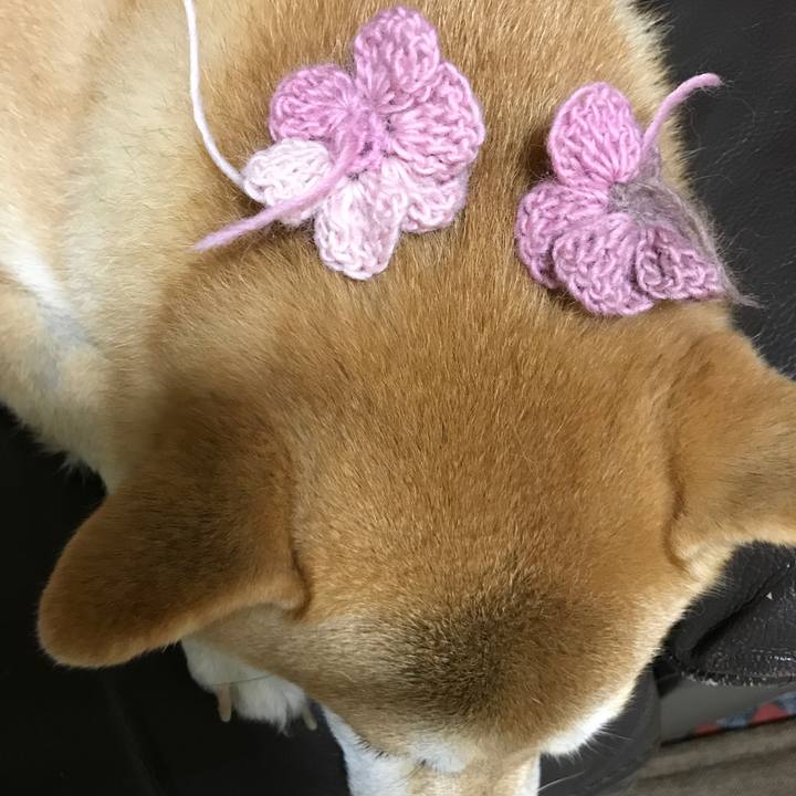 D456c3eb 0a6d 472e 864e 39ec32472207