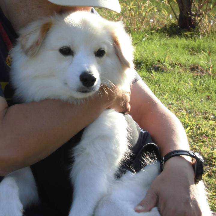 D456ca7c 02ff 4867 a21d 9d5bf97fc2ef