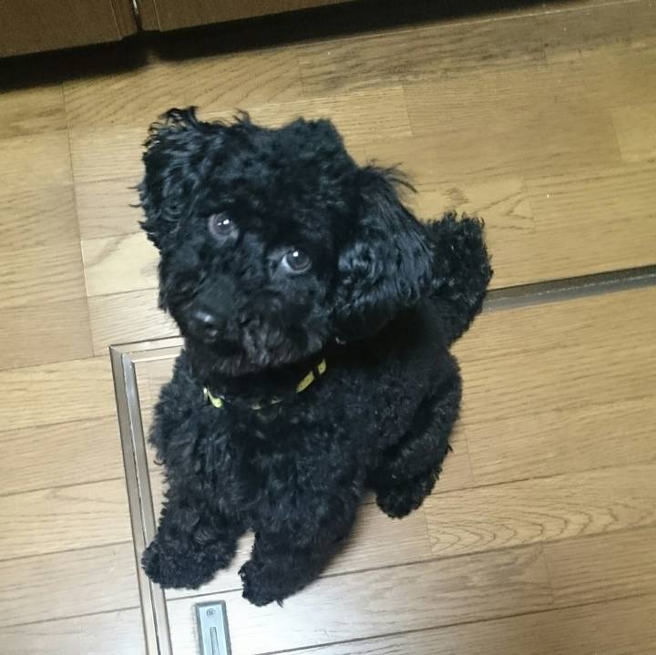 D457247d 13cb 49fa 8946 ea4112ba85ce