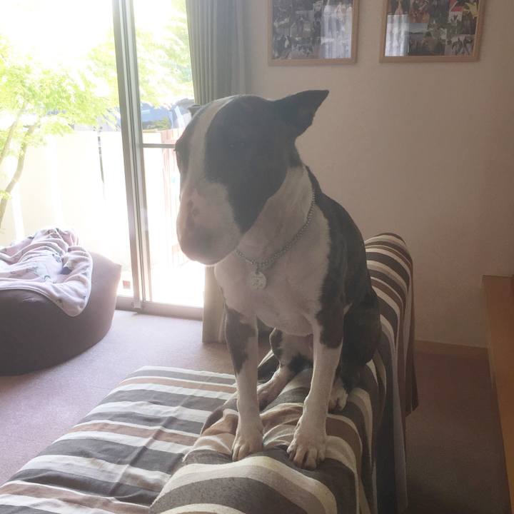 D4579ca0 2aa0 4f94 b6c4 7d3199cc614b