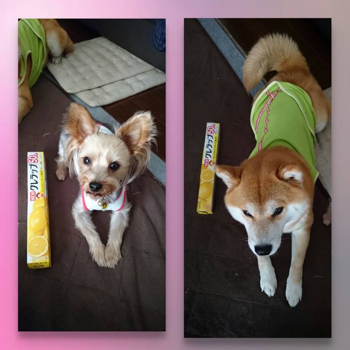 D457a5ca d2ab 4142 9bc6 5356fa892547