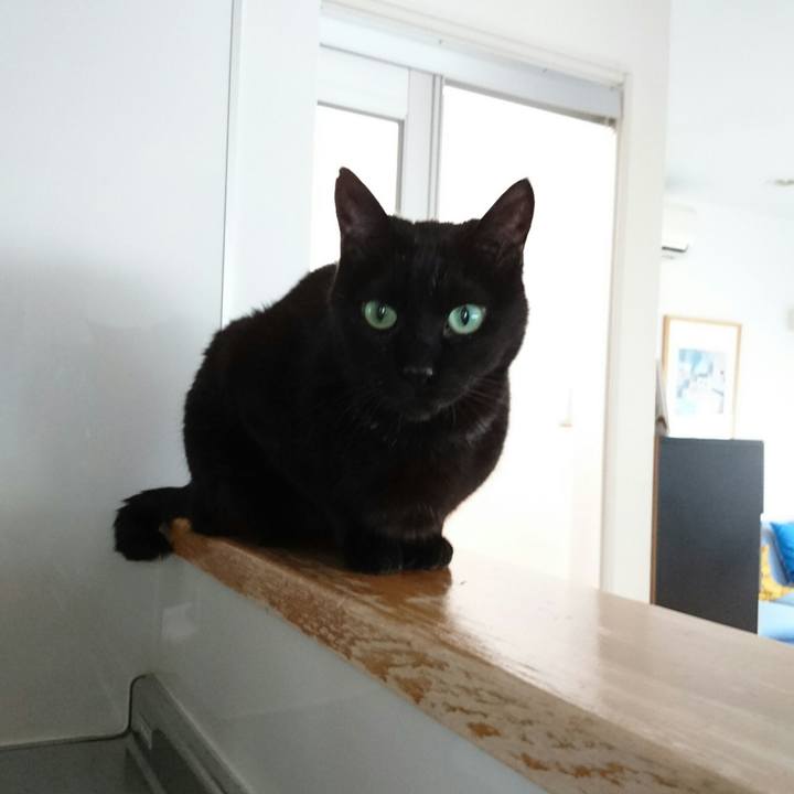 D4582be6 50d9 4585 967f 805448afb98c