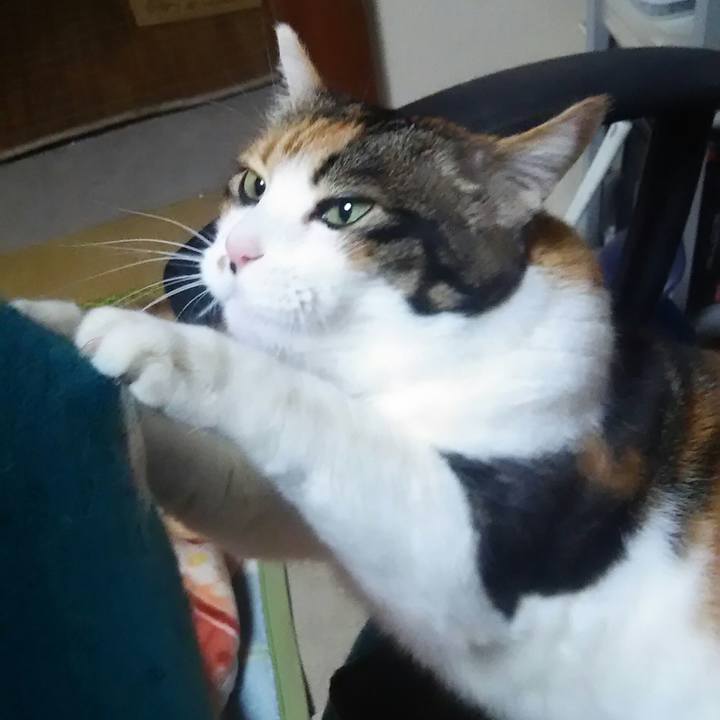 D4586402 ef26 4300 8429 673647b96139