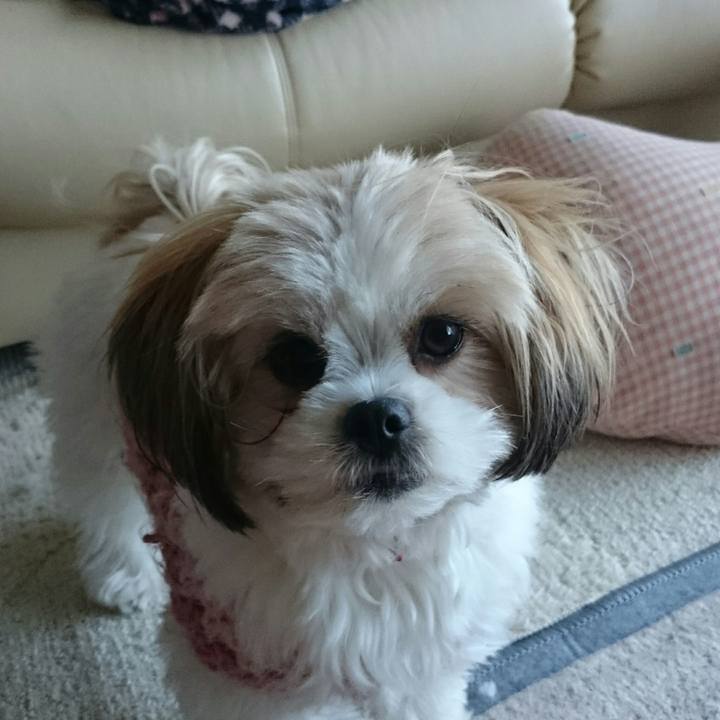 D458cd07 6c2b 40d9 8b20 4d8ef6a310d7