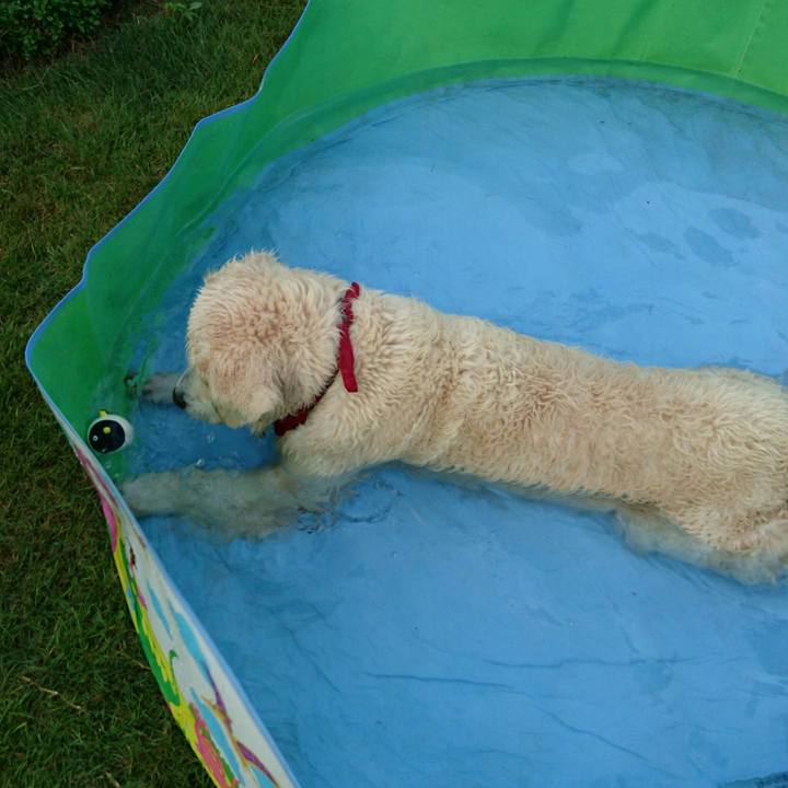 D4598b88 cb69 4372 b0dc 89a0d2f2938f