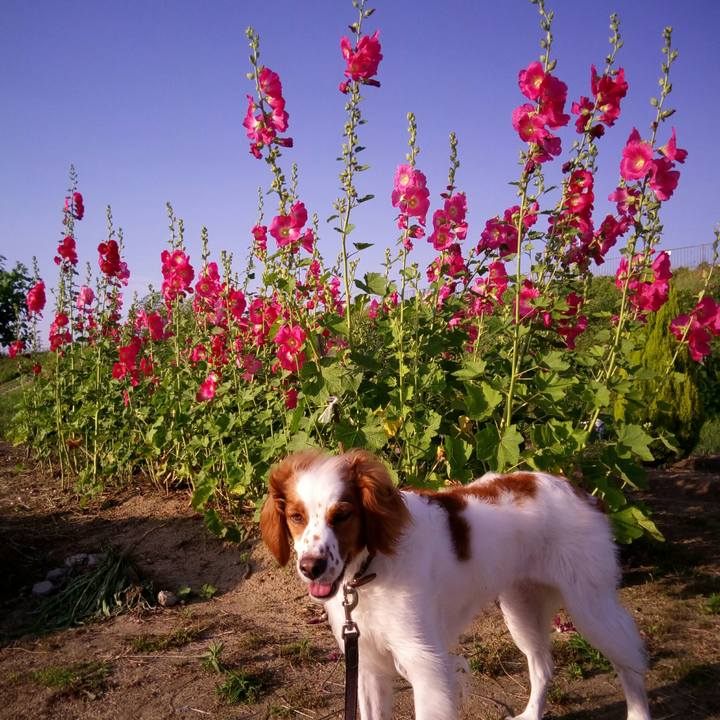 D459abb9 b0b4 4be1 8c97 0b72a887a03f