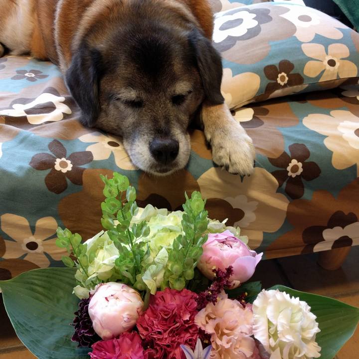 D45a053b 0136 4232 a199 35452d14a460