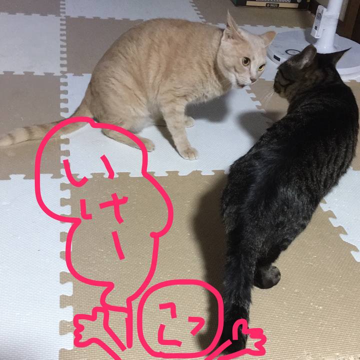 D45a2395 807a 4e2e bf9c 31db540f6856