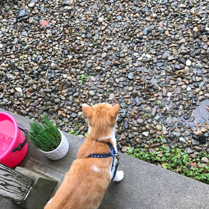 D45a98fc 0eff 4269 8d26 c11a5a99ba64