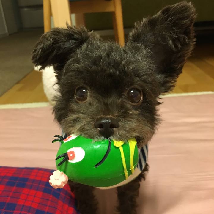 D45b7c2d a73e 4ad9 a20f dddb4aac6f99