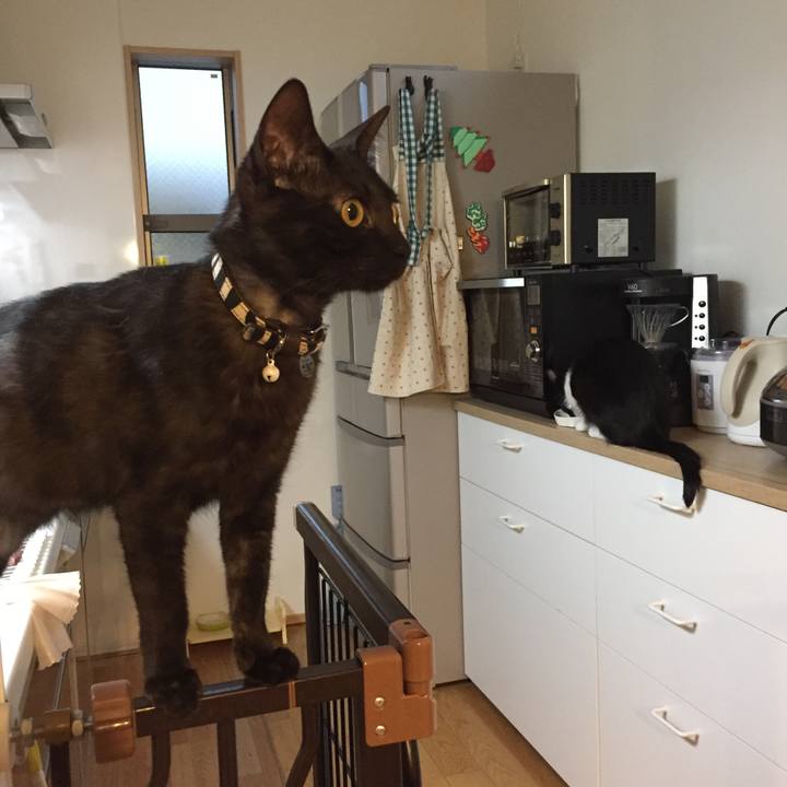 D45be9a2 19f4 4c4d a74c 9eea815bbd8f