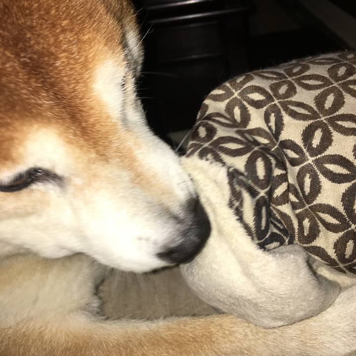 D45bf615 c894 405c bcd6 402d4d401c06